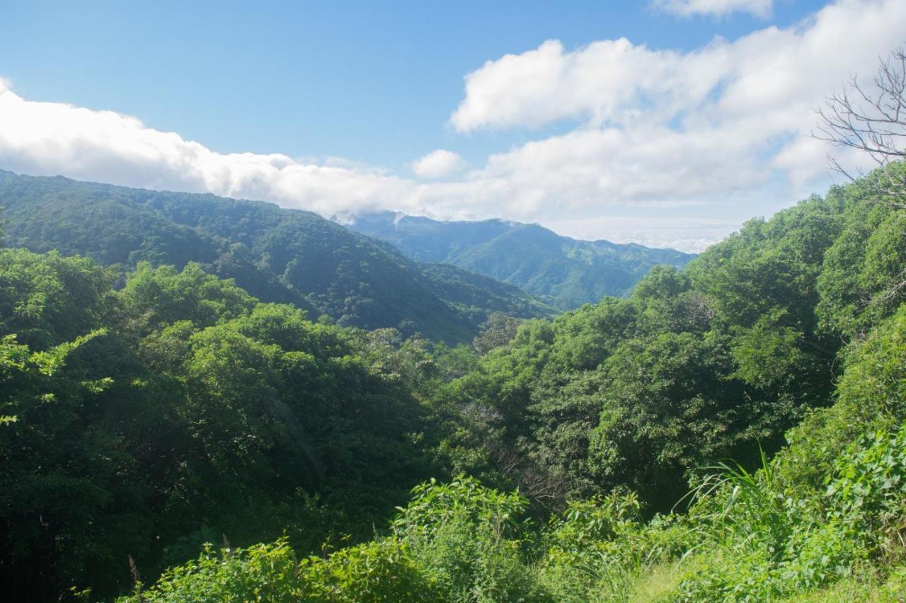 La Casa Bonita Apartment Monteverde ภายนอก รูปภาพ