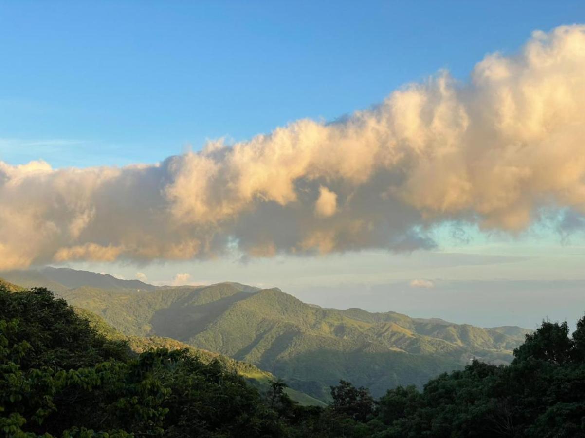 La Casa Bonita Apartment Monteverde ภายนอก รูปภาพ