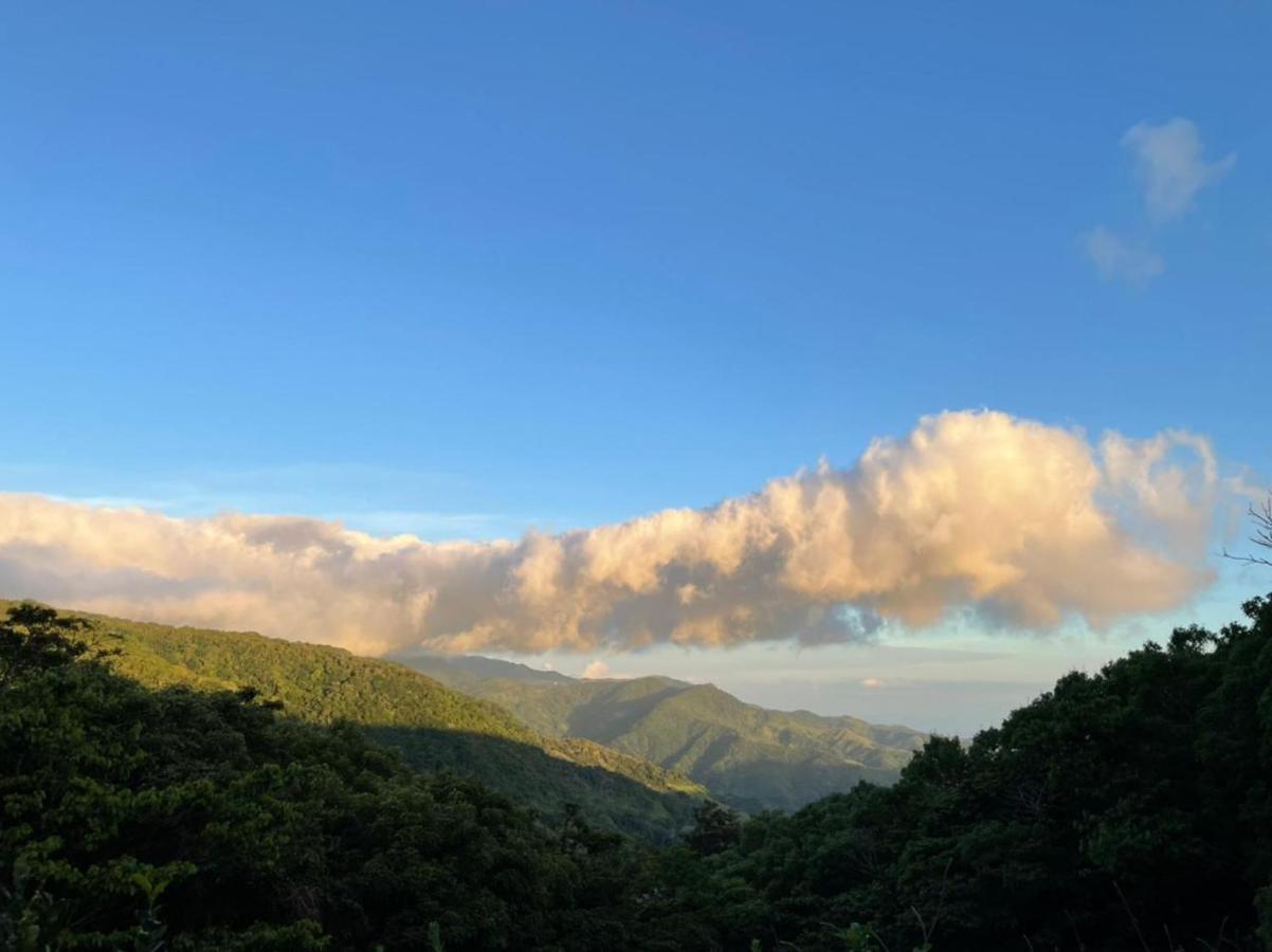 La Casa Bonita Apartment Monteverde ภายนอก รูปภาพ